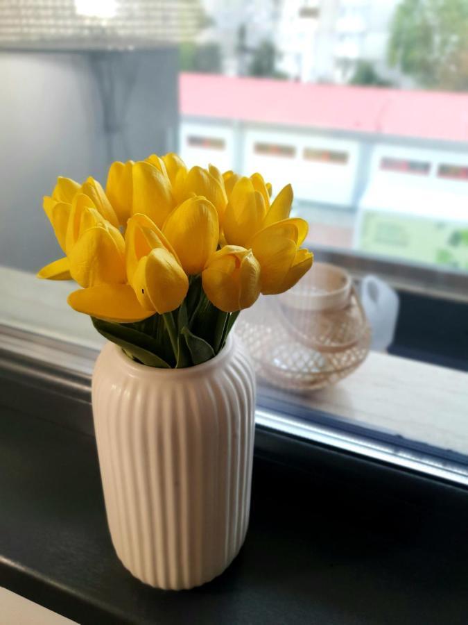 'Just Like Home' Apartment - With Private Parking Place Galati  Ngoại thất bức ảnh
